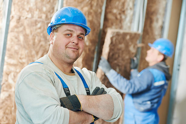 Eco-Friendly or Green Insulation Solutions in Prosper, TX